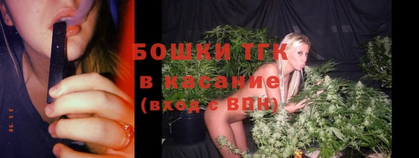 ешки Медногорск