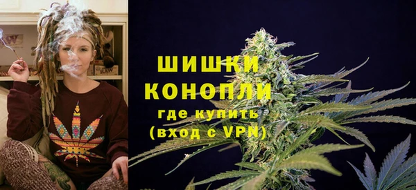 PSILOCYBIN Артём
