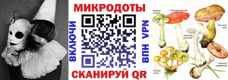 kraken вход  darknet Telegram  Галлюциногенные грибы мухоморы  Гагарин 