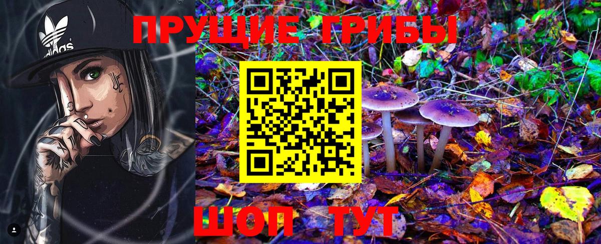 Псилоцибиновые грибы Psilocybine cubensis  Псилоцибиновые грибы Psilocybe  Гагарин 