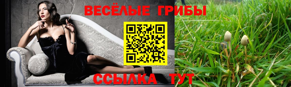 Псилоцибиновые грибы ЛСД Гагарин