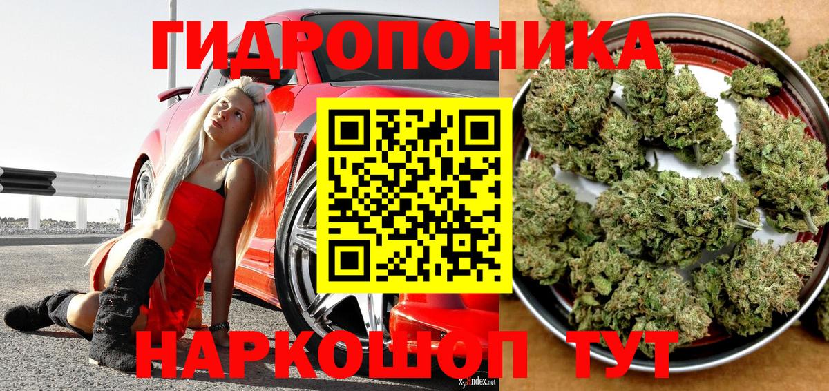 Шишки марихуана планчик  Вход с VPN  Гагарин  МАРИХУАНА OG Kush  Конопля MAZAR  Каннабис White Widow 